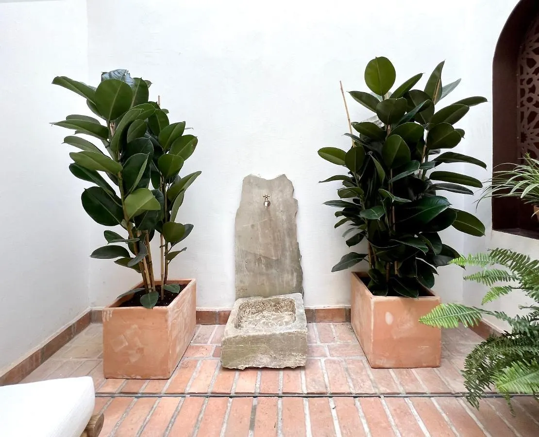 Appart hôtel Arcos De Medina - Apartamentos Premium Cordoue
